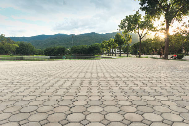 Best Interlocking Driveway Pavers  in Hilltop, MN